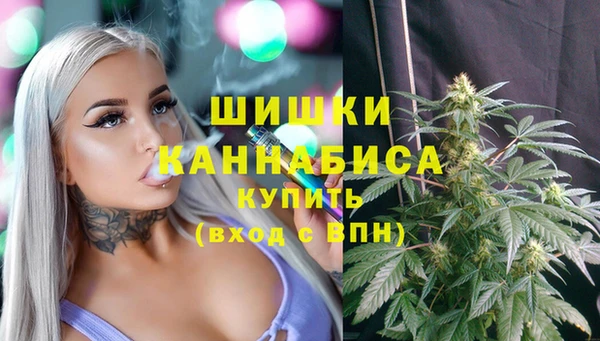 мяу мяу мука Чегем