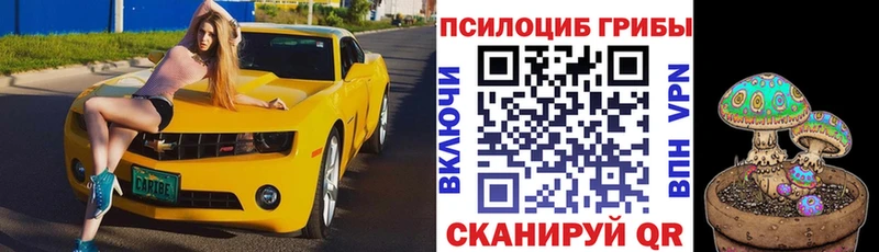 Купить  Малоярославец  Псилоцибиновые грибы MAGIC MUSHROOMS 